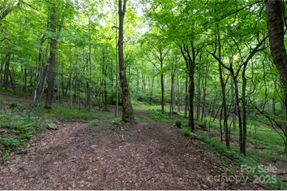 264 Quiet Times Drive, Burnsville, NC 28714 - Photo 25