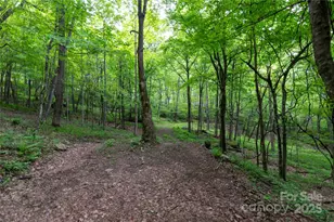 264 Quiet Times Dr, Burnsville, NC 28714 - Photo 25