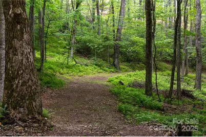 264 Quiet Times Drive, Burnsville, NC 28714 - Photo 23