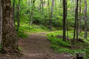 264 Quiet Times Dr, Burnsville, NC 28714 - Photo 23