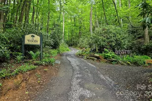 264 Quiet Times Dr, Burnsville, NC 28714 - Photo 11