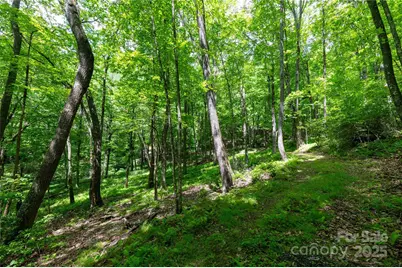 264 Quiet Times Drive, Burnsville, NC 28714 - Photo 29