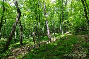 264 Quiet Times Dr, Burnsville, NC 28714 - Photo 29