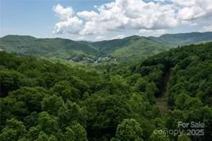 264 Quiet Times Dr, Burnsville, NC 28714 - Photo 35