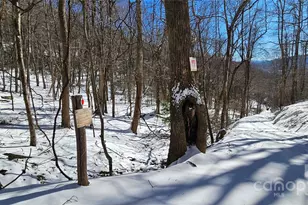 264 Quiet Times Dr, Burnsville, NC 28714 - Photo 21