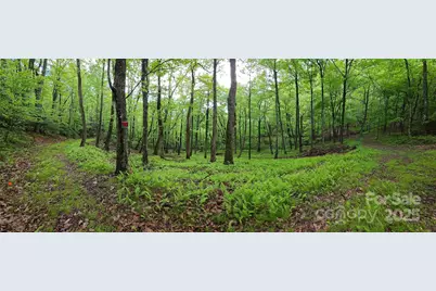 264 Quiet Times Drive, Burnsville, NC 28714 - Photo 19