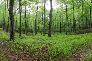 264 Quiet Times Dr, Burnsville, NC 28714 - Photo 19