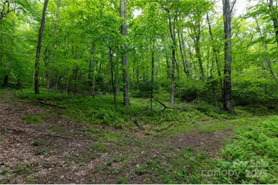 264 Quiet Times Drive, Burnsville, NC 28714 - Photo 27