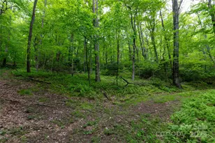 264 Quiet Times Dr, Burnsville, NC 28714 - Photo 27