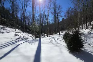 264 Quiet Times Dr, Burnsville, NC 28714 - Photo 3