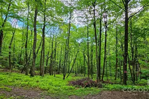 264 Quiet Times Dr, Burnsville, NC 28714 - Photo 7