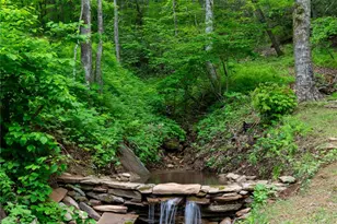 264 Quiet Times Dr, Burnsville, NC 28714 - Photo 13