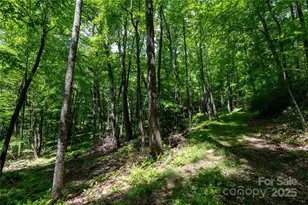 264 Quiet Times Dr, Burnsville, NC 28714 - Photo 31