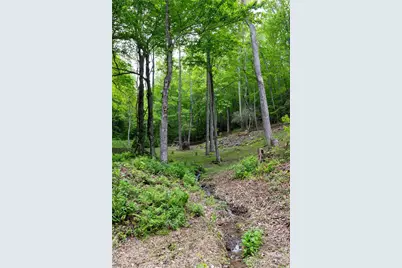 264 Quiet Times Drive, Burnsville, NC 28714 - Photo 17