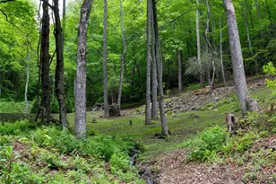 264 Quiet Times Dr, Burnsville, NC 28714 - Photo 17