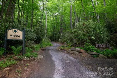 264 Quiet Times Drive, Burnsville, NC 28714 - Photo 39