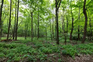 264 Quiet Times Dr, Burnsville, NC 28714 - Photo 33