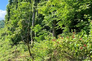 3065 Piney Hill Rd, Burnsville, NC 28714 - Photo 35