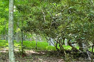 3065 Piney Hill Rd, Burnsville, NC 28714 - Photo 27