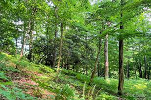 3065 Piney Hill Rd, Burnsville, NC 28714 - Photo 29