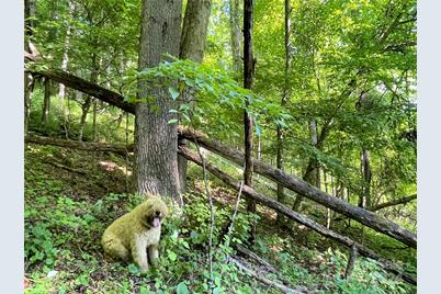 3065 Piney Hill Road, Burnsville, NC 28714 - Photo 19