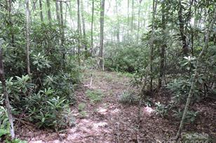 00 South Toe River Rd, Burnsville, NC 28714 - Photo 11