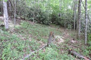 00 South Toe River Rd, Burnsville, NC 28714 - Photo 5