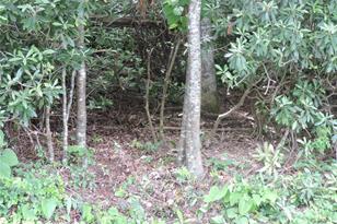 00 South Toe River Rd, Burnsville, NC 28714 - Photo 27