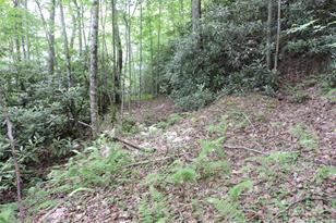 00 South Toe River Rd, Burnsville, NC 28714 - Photo 7