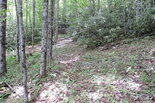 00 South Toe River Rd, Burnsville, NC 28714 - Photo 5