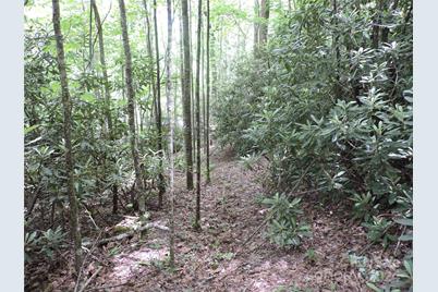 00 South Toe River Road #lot 2, Burnsville, NC 28714 - Photo 13