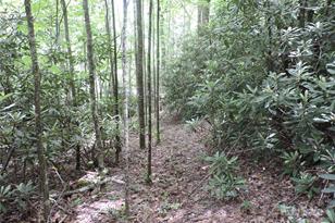 00 South Toe River Rd, Burnsville, NC 28714 - Photo 13