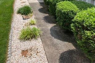 246 Hemlock Ln, Moravian Falls, NC 28654 - Photo 11