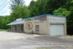 7320 Asheville Hwy, Pisgah Forest, NC 28768 - Photo 1