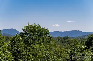 2005 Viburnum Ln, Asheville, NC 28803 - Photo 39