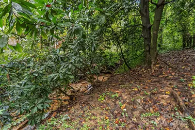 218 Davis Drive, Morganton, NC 28655 - Photo 19