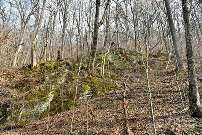 158 Sugar Cove Road, Weaverville, NC 28787 - Photo 29