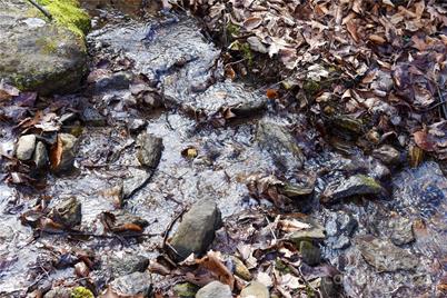 158 Sugar Cove Road, Weaverville, NC 28787 - Photo 31