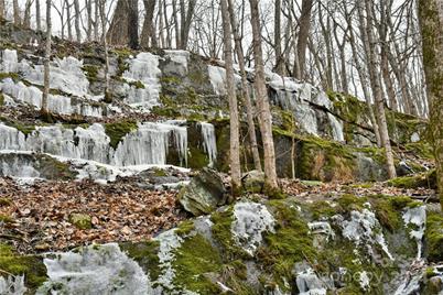 158 Sugar Cove Road, Weaverville, NC 28787 - Photo 37