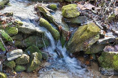 158 Sugar Cove Road, Weaverville, NC 28787 - Photo 19