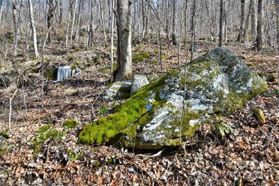 158 Sugar Cove Road, Weaverville, NC 28787 - Photo 23