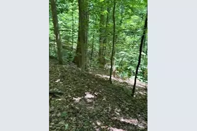 0 Cherokee Circle #LOT 11, Tryon, NC 28782 - Photo 1