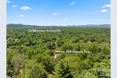 104 Maney Avenue, Asheville, NC 28804 - Photo 37