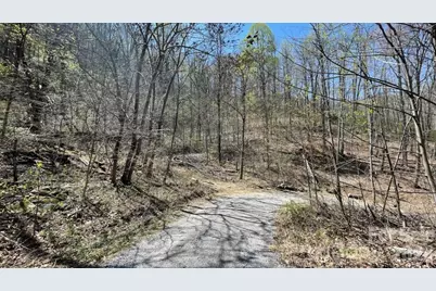 10.02 Acres Tbd Rock Garden Road, Black Mountain, NC 28711 - Photo 17