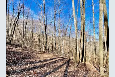 10.02 Acres Tbd Rock Garden Road, Black Mountain, NC 28711 - Photo 5