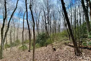 10 02 Acres Tbd Rock Garden Rd, Black Mountain, NC 28711 - Photo 1