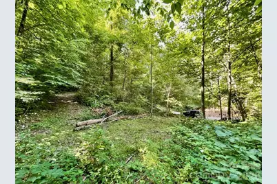 10.02 Acres Tbd Rock Garden Road, Black Mountain, NC 28711 - Photo 11