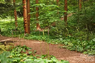 108 Lakewood Dr, Asheville, NC 28803 - Photo 37