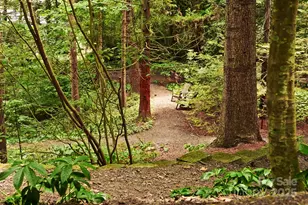 108 Lakewood Dr, Asheville, NC 28803 - Photo 41