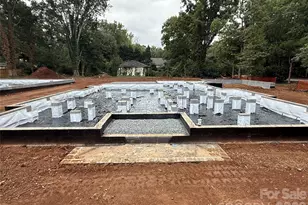 106 Hunter Ln, Charlotte, NC 28211 - Photo 27